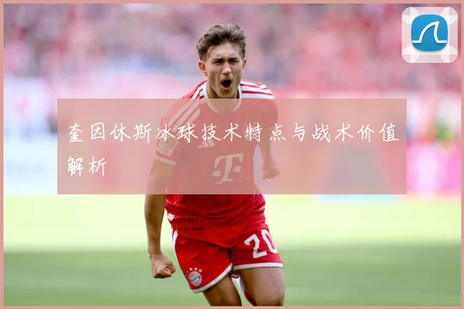 奎因休斯冰球技术特点与战术价值解析